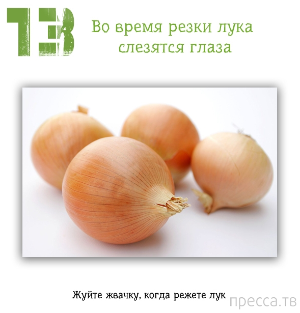 �������� ������ ��� ���� (13 ����)