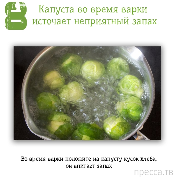 �������� ������ ��� ���� (13 ����)