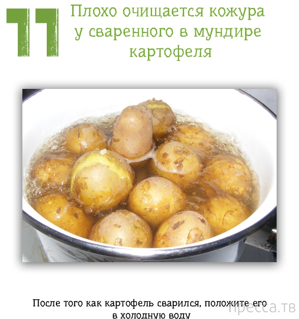 �������� ������ ��� ���� (13 ����)