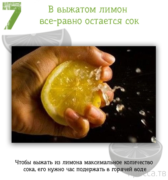 �������� ������ ��� ���� (13 ����)