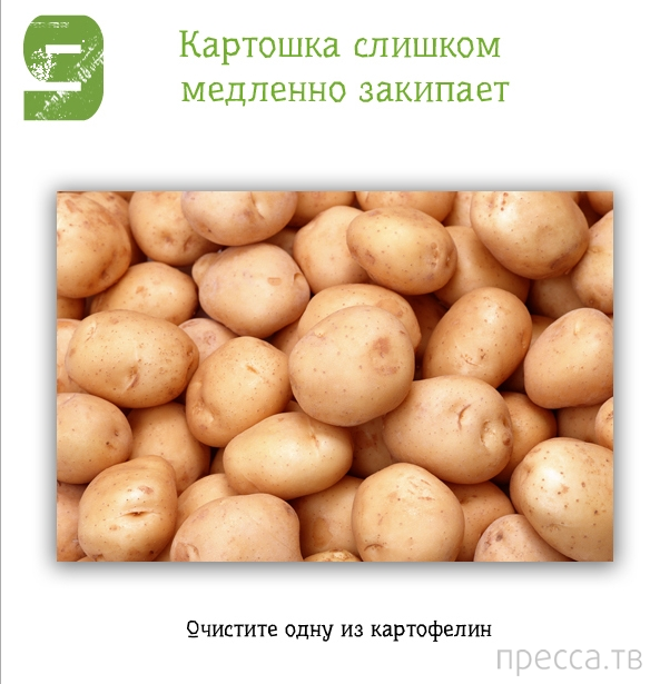 �������� ������ ��� ���� (13 ����)