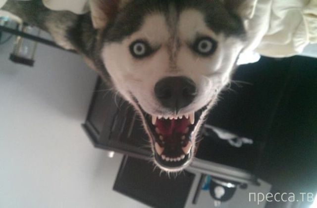 ����� �������� - �������� ��������, ����� 3 (47 ����)