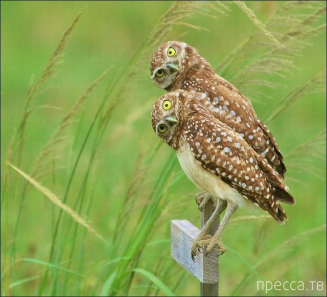 ����� �������� - �������� ��������, ����� 3 (47 ����)