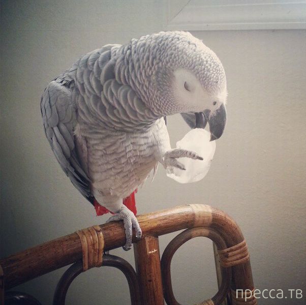 ����� �������� - �������� ��������, ����� 3 (47 ����)