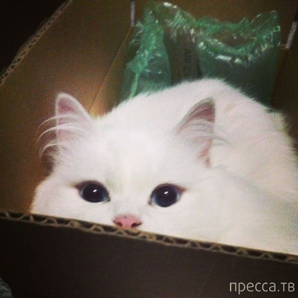 ����� �������� - �������� ��������, ����� 3 (47 ����)