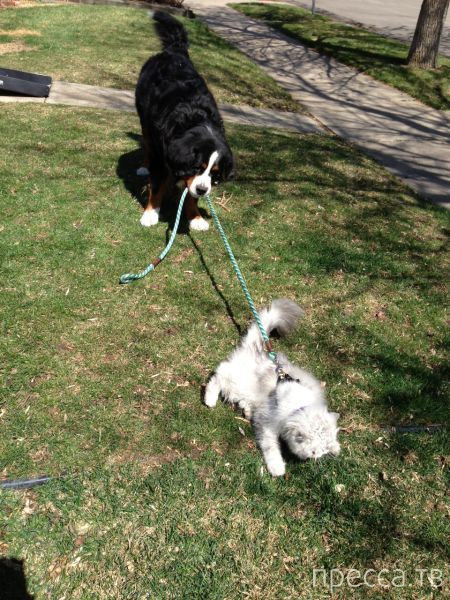 ����� �������� - �������� ��������, ����� 3 (47 ����)