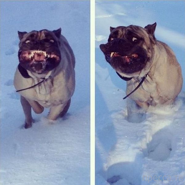 ����� �������� - �������� ��������, ����� 3 (47 ����)