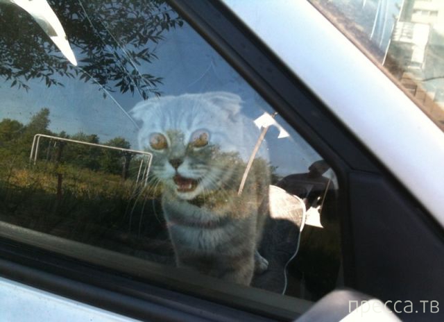 ����� �������� - �������� ��������, ����� 3 (47 ����)