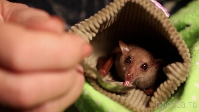 ����� �������� - �������� ��������, ����� 3 (47 ����)