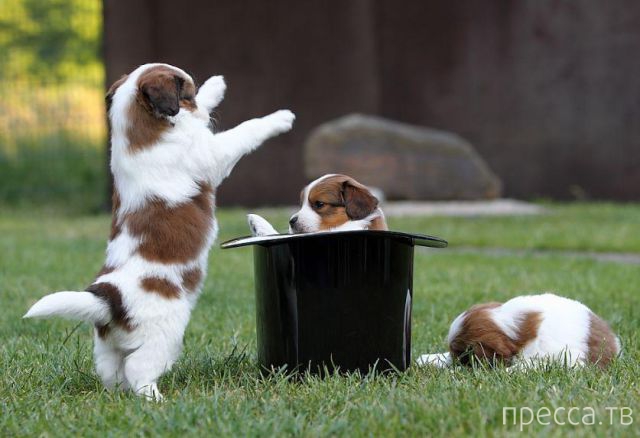 ����� �������� - �������� ��������, ����� 3 (47 ����)