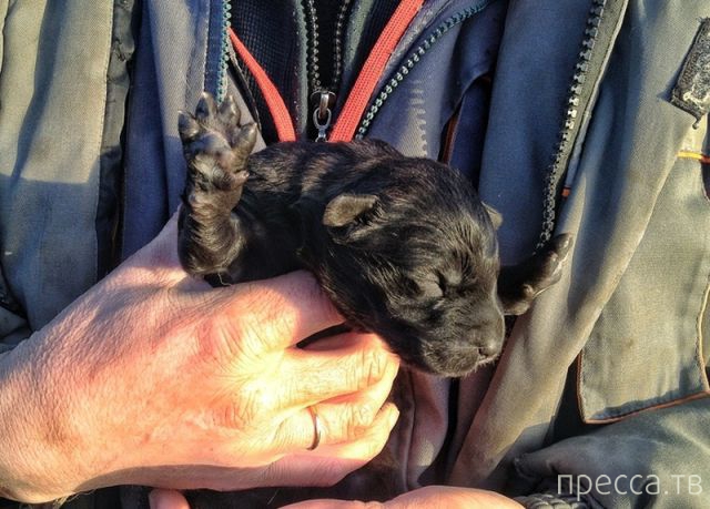 ����� �������� - �������� ��������, ����� 3 (47 ����)