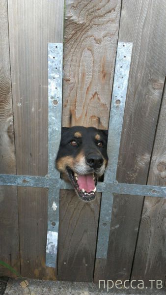 ����� �������� - �������� ��������, ����� 3 (47 ����)