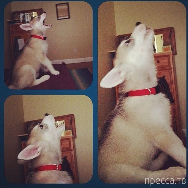 ����� �������� - �������� ��������, ����� 3 (47 ����)