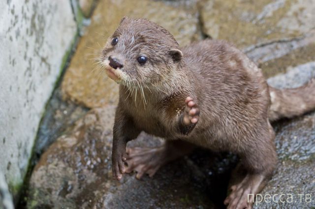 ����� �������� - �������� ��������, ����� 3 (47 ����)