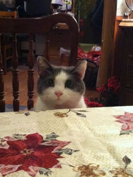 ����� �������� - �������� ��������, ����� 3 (47 ����)