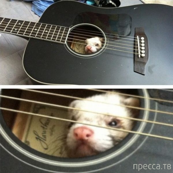 ����� �������� - �������� ��������, ����� 3 (47 ����)