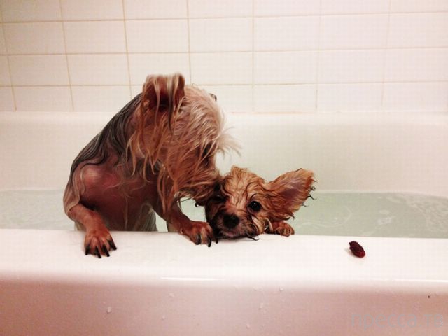 ����� �������� - �������� ��������, ����� 3 (47 ����)