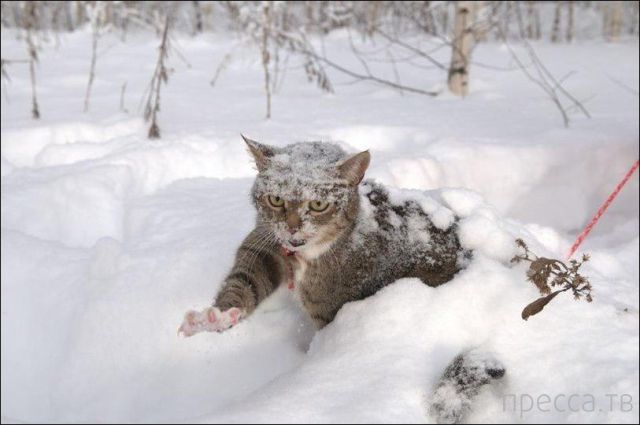 ����� �������� - �������� ��������, ����� 3 (47 ����)