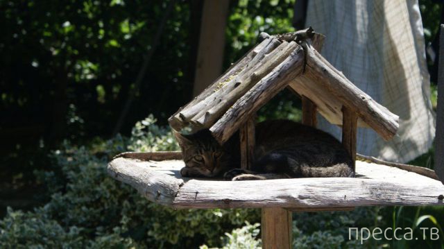 ����� �������� - �������� ��������, ����� 3 (47 ����)