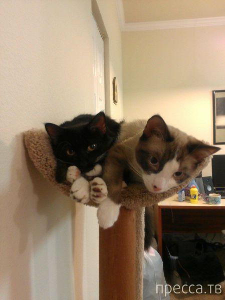 ����� �������� - �������� ��������, ����� 3 (47 ����)