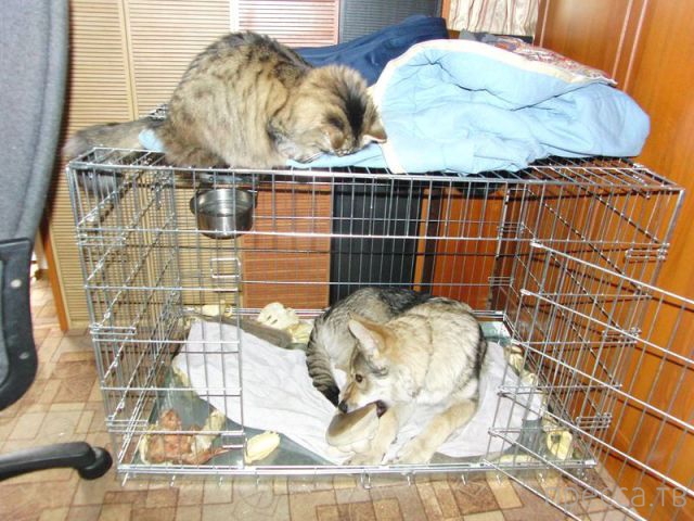 ����� �������� - �������� ��������, ����� 4 (48 ����)