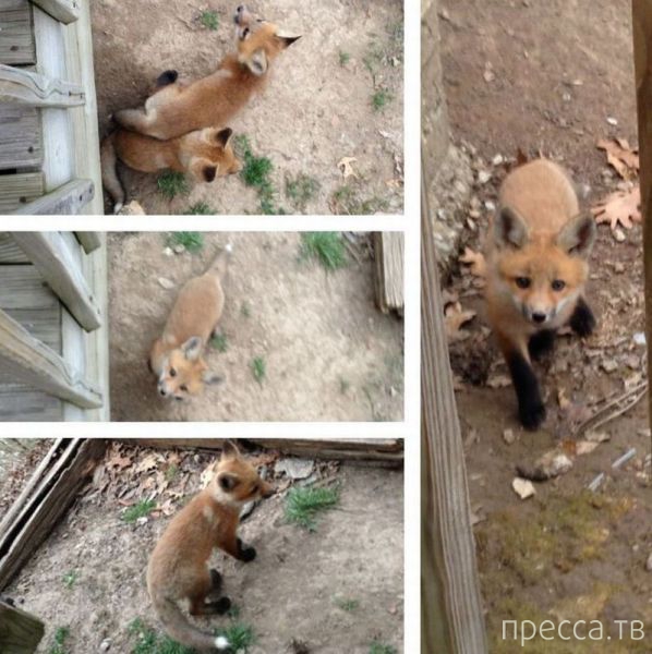 ����� �������� - �������� ��������, ����� 4 (48 ����)