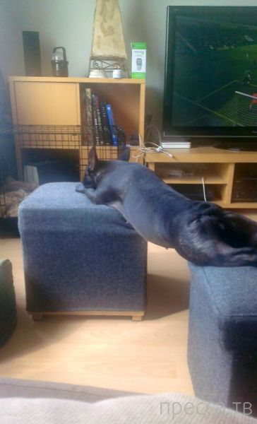 ����� �������� - �������� ��������, ����� 4 (48 ����)