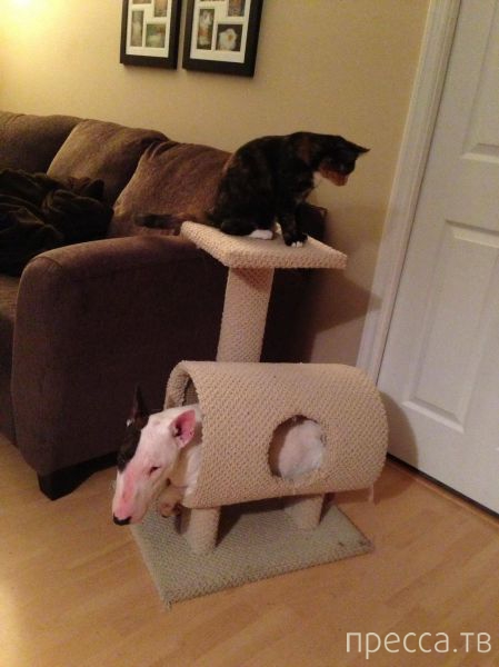 ����� �������� - �������� ��������, ����� 5 (45 ����)