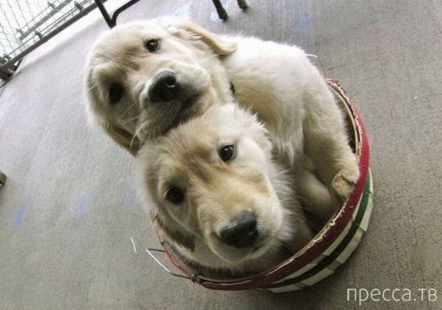 ����� �������� - �������� ��������, ����� 5 (45 ����)