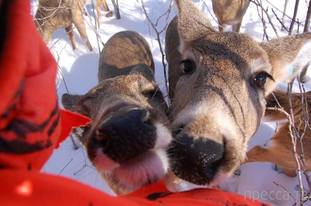 ����� �������� - �������� ��������, ����� 5 (45 ����)