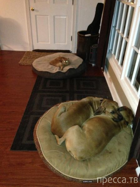 ����� �������� - �������� ��������, ����� 5 (45 ����)