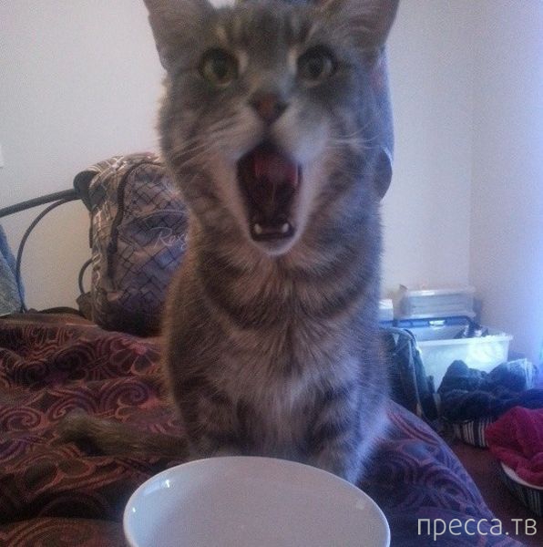 ����� �������� - �������� ��������, ����� 5 (45 ����)