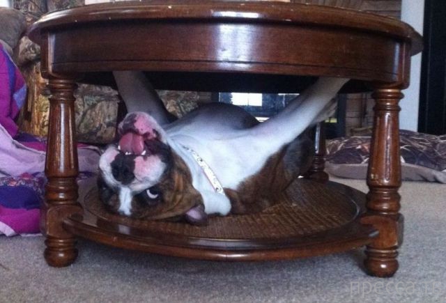 ����� �������� - �������� ��������, ����� 5 (45 ����)