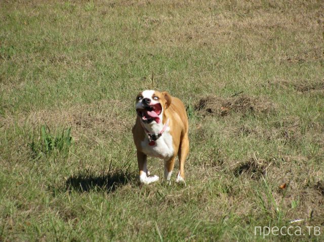 ����� �������� - �������� ��������, ����� 5 (45 ����)