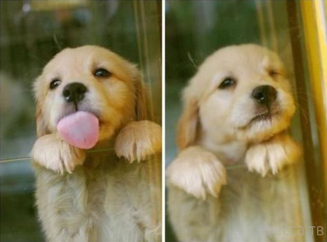 ����� �������� - �������� ��������, ����� 5 (45 ����)