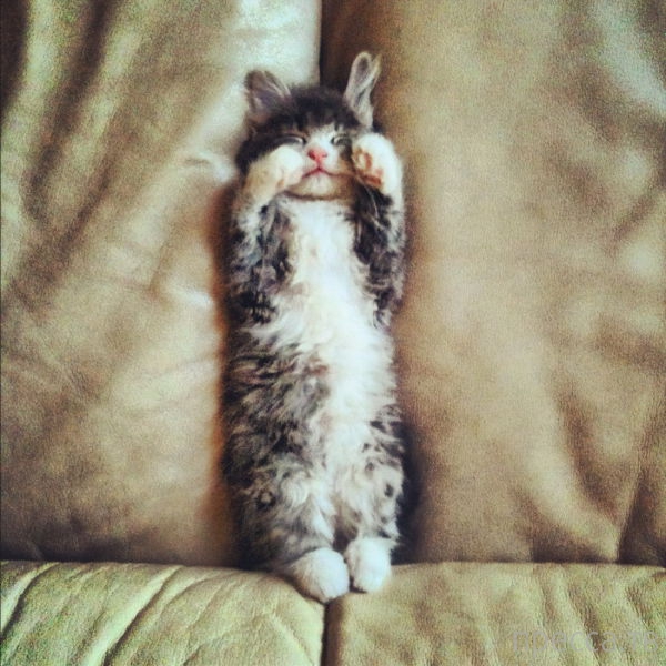 ����� �������� - �������� ��������, ����� 5 (45 ����)