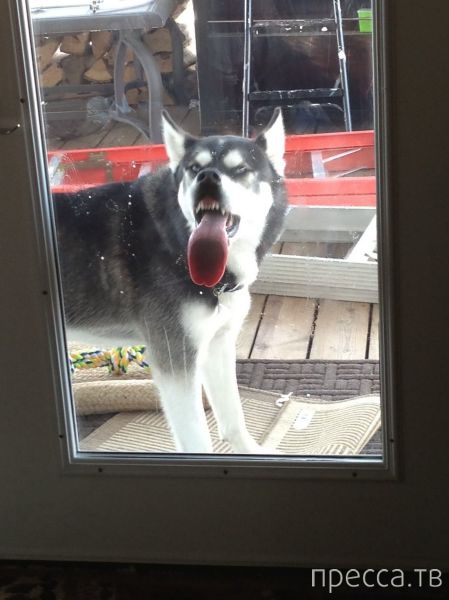 ����� �������� - �������� ��������, ����� 5 (45 ����)