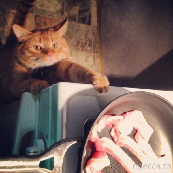 ����� �������� - �������� ��������, ����� 5 (45 ����)