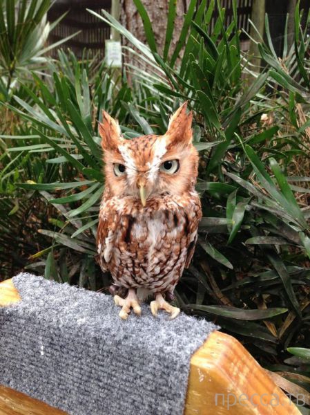 ����� �������� - �������� ��������, ����� 6 (48 ����)