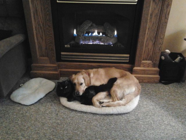 ����� �������� - �������� ��������, ����� 6 (48 ����)