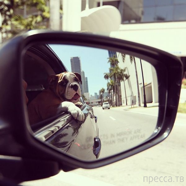 ����� �������� - �������� ��������, ����� 6 (48 ����)