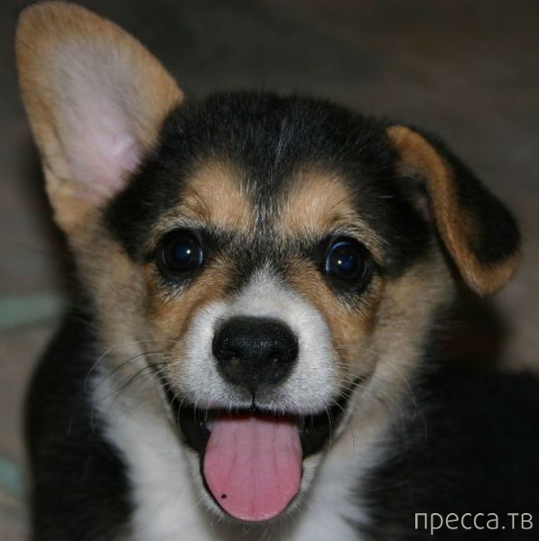 ����� �������� - �������� ��������, ����� 6 (48 ����)