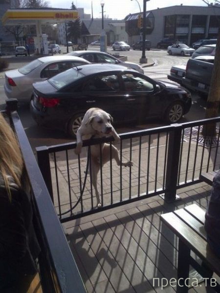 ����� �������� - �������� ��������, ����� 6 (48 ����)