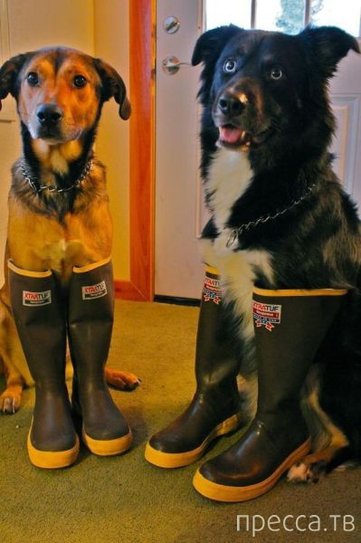 ����� �������� - �������� ��������, ����� 7 (47 ����)