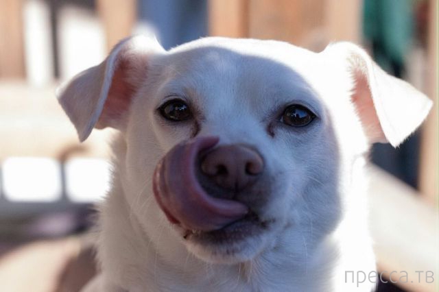 ����� �������� - �������� ��������, ����� 7 (47 ����)