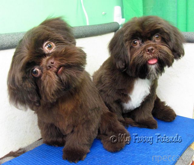 ����� �������� - �������� ��������, ����� 7 (47 ����)