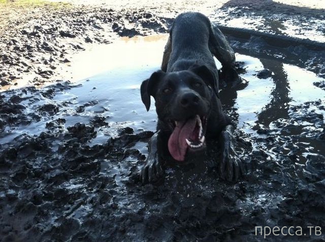 ����� �������� - �������� ��������, ����� 7 (47 ����)