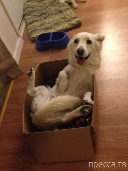 ����� �������� - �������� ��������, ����� 7 (47 ����)