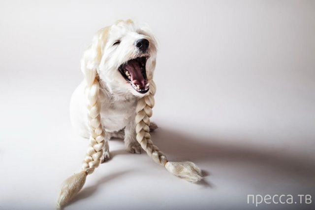 ����� �������� - �������� ��������, ����� 7 (47 ����)