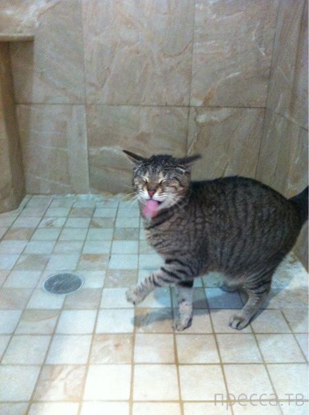 ����� �������� - �������� ��������, ����� 7 (47 ����)